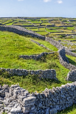 20070807_ireland_1059