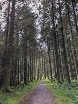20180819_ireland_447